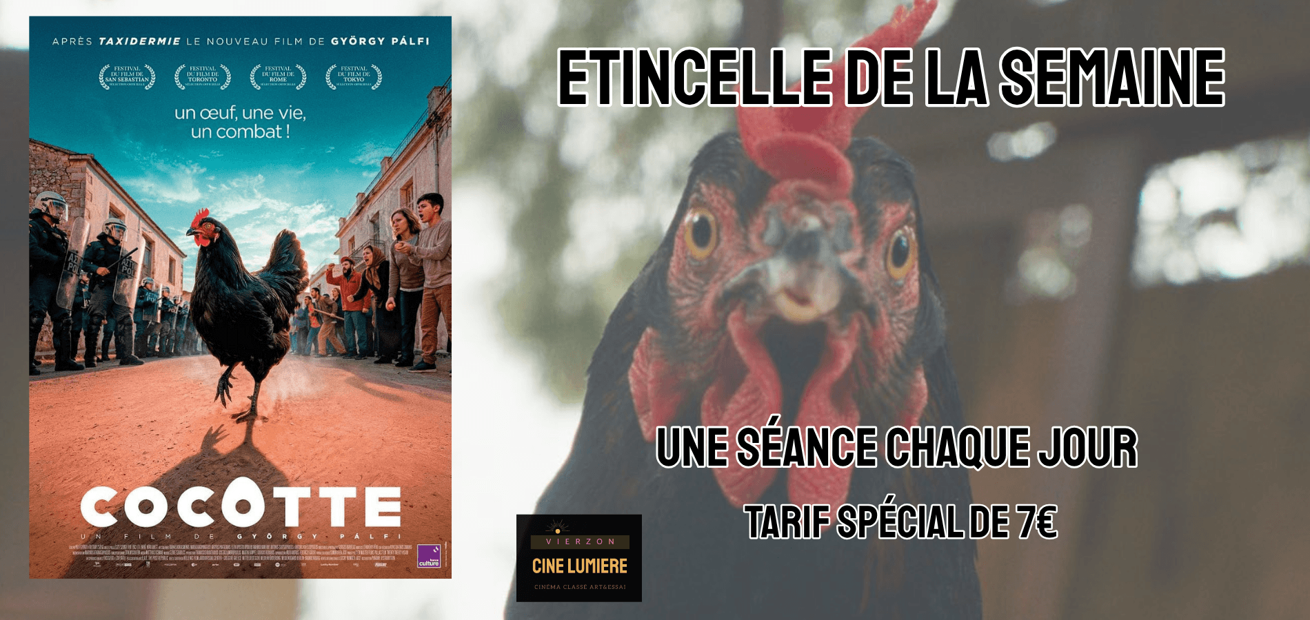 actualité COCOTTE ETINCELLE
