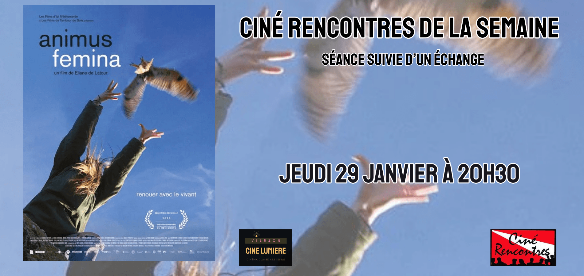 actualité ANIMUS CINERENC